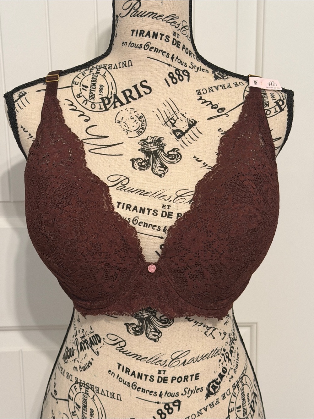 NWT Victoria's Secret Dream Angels Plunge Lace Bra